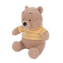 Disney Baby Winnie The Pooh Plush Bear Stuffed Animal Toy