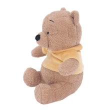 Disney Baby Winnie The Pooh Plush Bear Stuffed Animal Toy