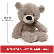 Fuzzy Teddy Bear, Premium Stuffed Animal for Ages 1 and Up, Gray, 13.5”